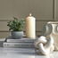 Pixie Eucalyptus Plant in Pot - 13 cm-household-gardenandoutdoor-artificialplants-pottedplants-image-4