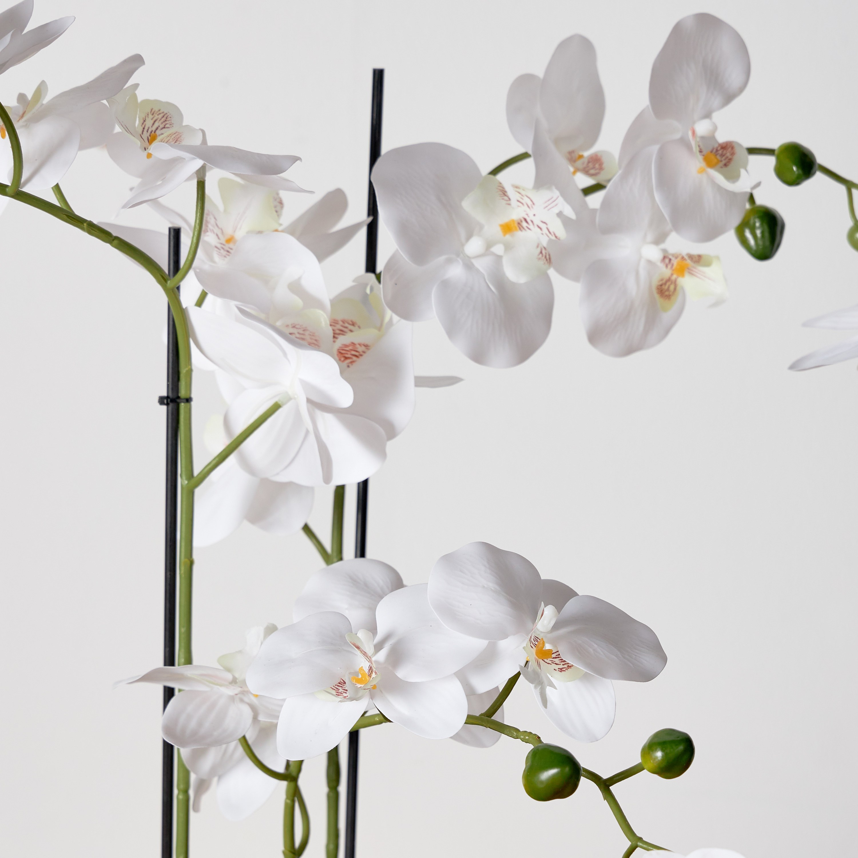 Terra Orchid Plant in Ceramic Pot - 60 cm-household-gardenandoutdoor-artificialflowersandplants-flowers-image-2