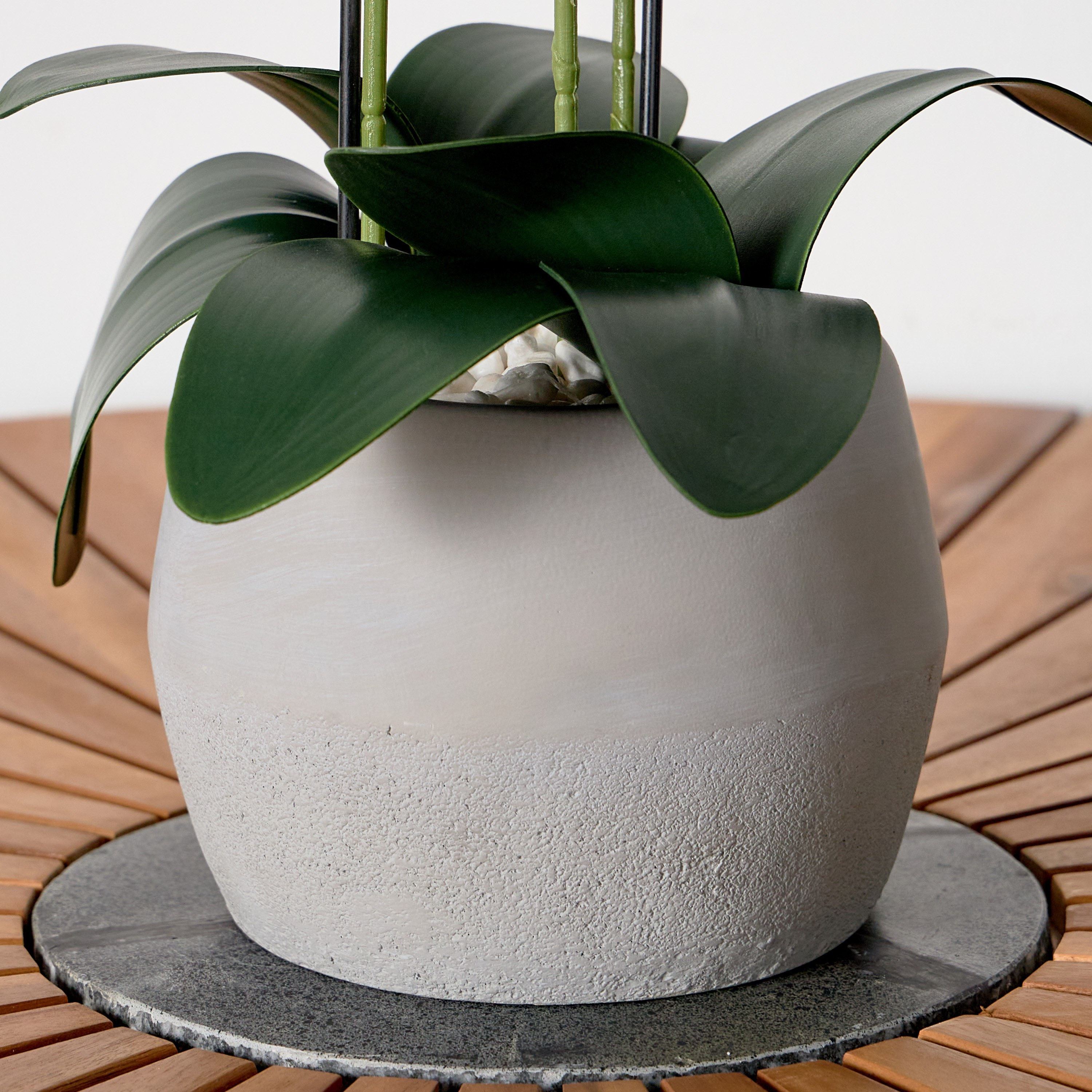 Terra Orchid Plant in Ceramic Pot - 60 cm-household-gardenandoutdoor-artificialflowersandplants-flowers-image-3