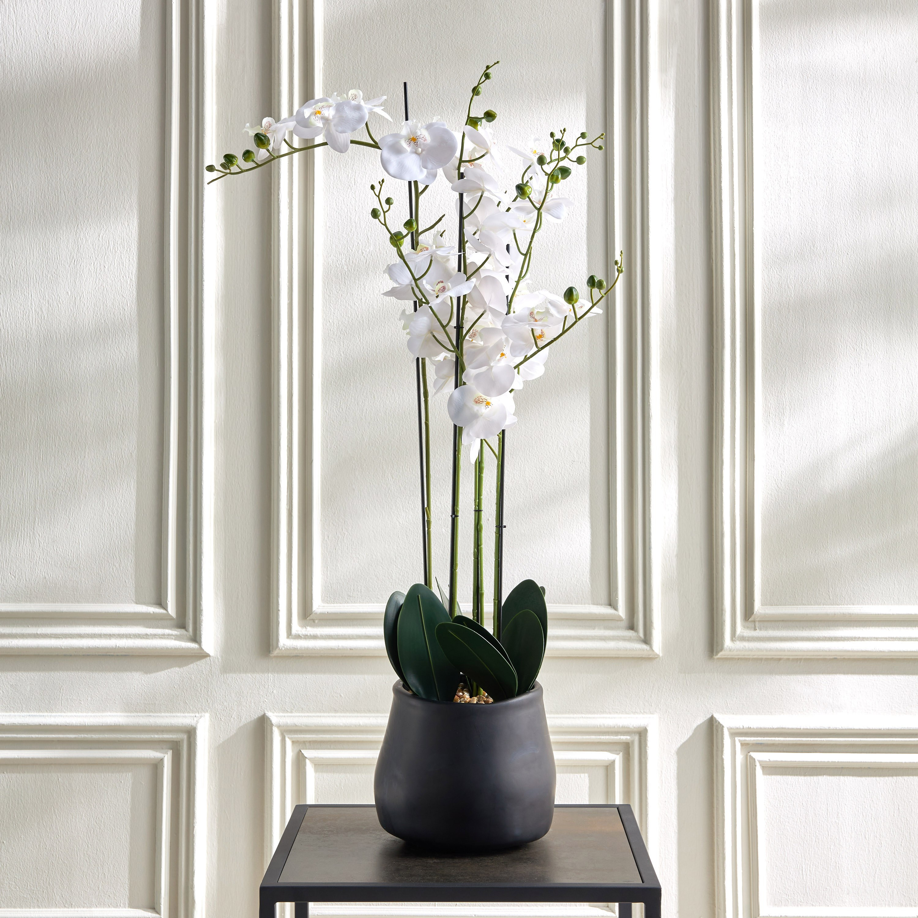 Terra Orchid Extra Large Plant with Pot - 66 cm-household-gardenandoutdoor-artificialflowersandplants-flowers-image-1
