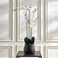 Terra Orchid Extra Large Plant with Pot - 66 cm-household-gardenandoutdoor-artificialflowersandplants-flowers-image-1