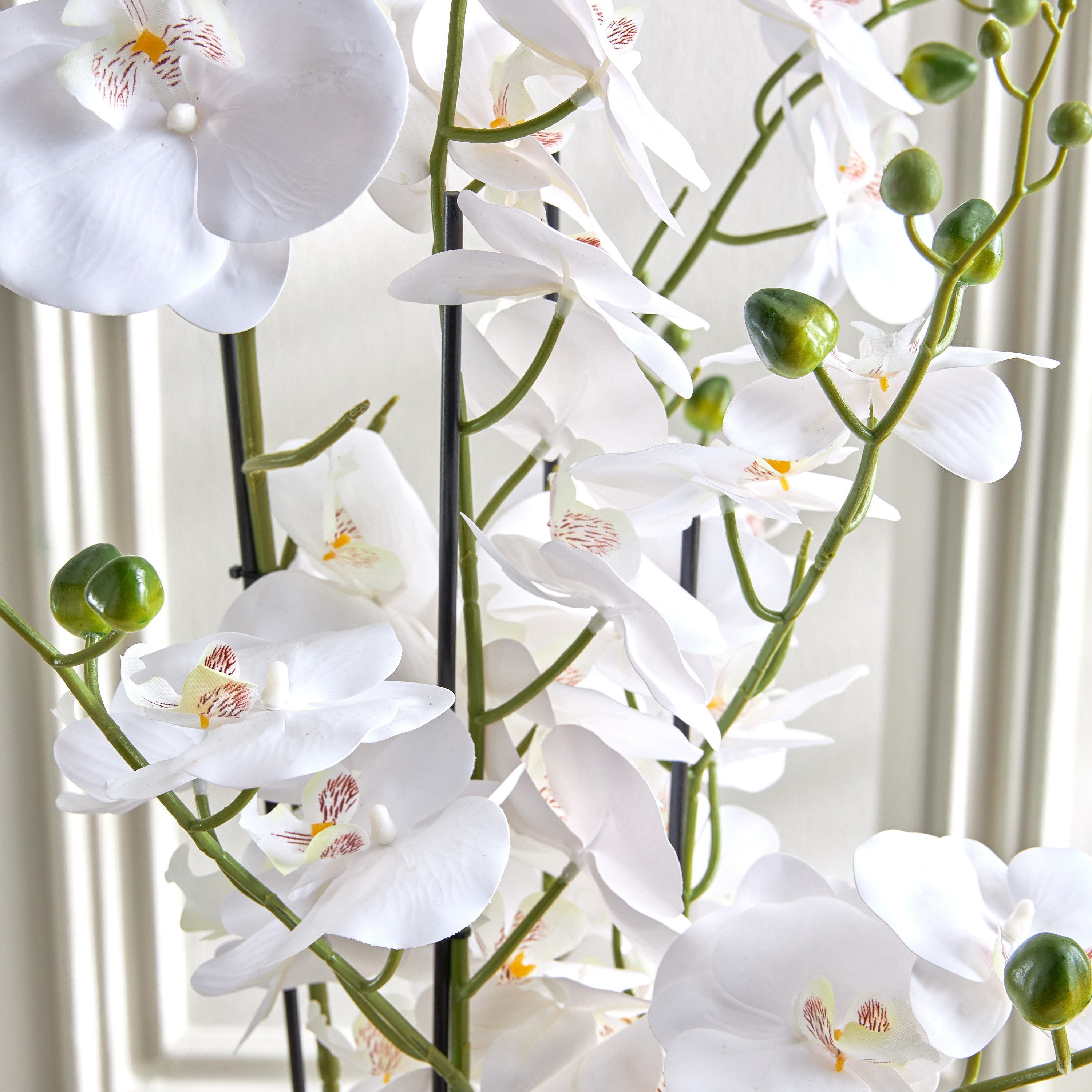 نبات أوركيد كبير جدًا في إناء - 66 سم-household-gardenandoutdoor-artificialflowersandplants-flowers-image-3