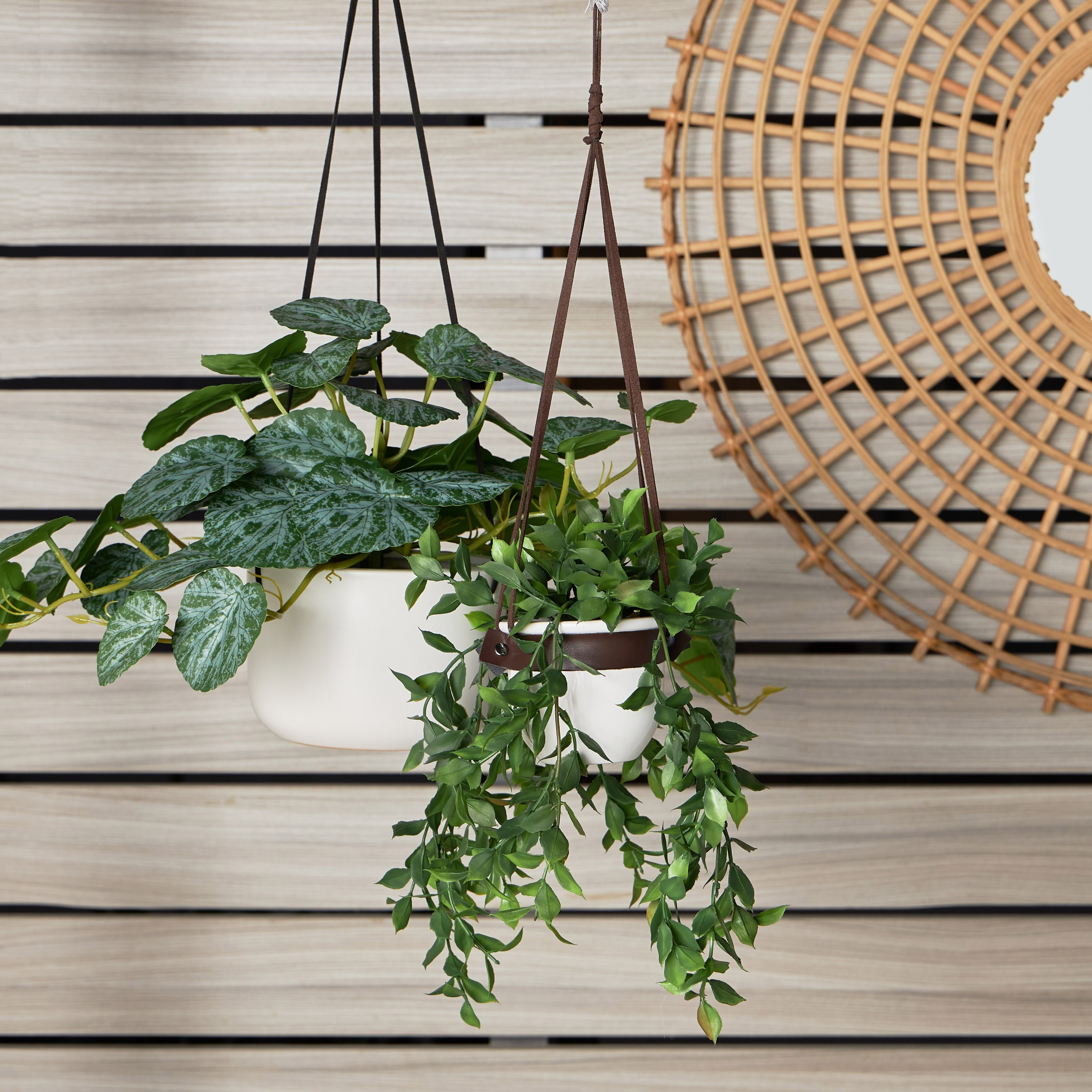 نبات كرمة روسكوس في وعاء معلق سيراميك  بأشرطة جلد- فالتي- 25 سم-household-gardenandoutdoor-artificialplants-pottedplants-image-4