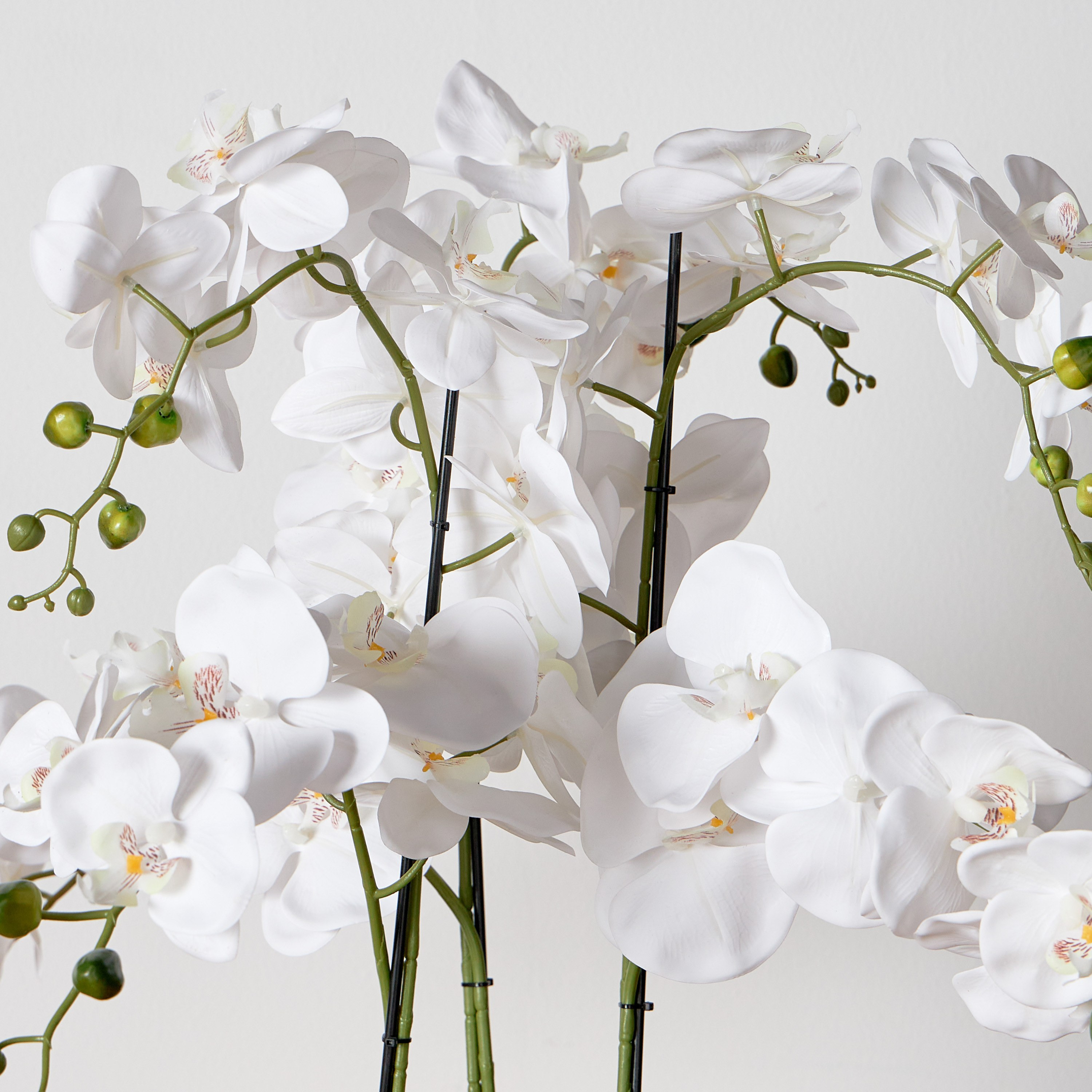 Xana Orchid Plant in Ceramic Pot - 81 cm-household-gardenandoutdoor-artificialflowersandplants-flowers-image-2