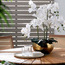 Xana Orchid Plant in Ceramic Pot - 81 cm-household-gardenandoutdoor-artificialflowersandplants-flowers-image-4
