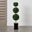 Topiary Triple Boxwood Plant in Pot - 106 cm-binpromo_ALLBANKS_OMN_14032025-image-1