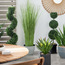 Topiary Triple Boxwood Plant in Pot - 106 cm-binpromo_ALLBANKS_OMN_14032025-image-4