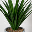Grande Ambre Agave Plant in Ceramic Pot - 100 cm-household-gardenandoutdoor-artificialplants-pottedplants-image-3