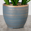 Grande Goldkist Agave Plant in Ceramic Pot - 82 cm-household-gardenandoutdoor-artificialplants-pottedplants-image-2