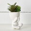 Perch Mini Succulent Plant in Ceramic Pot - 15 cm-household-gardenandoutdoor-artificialplants-succulents-image-1