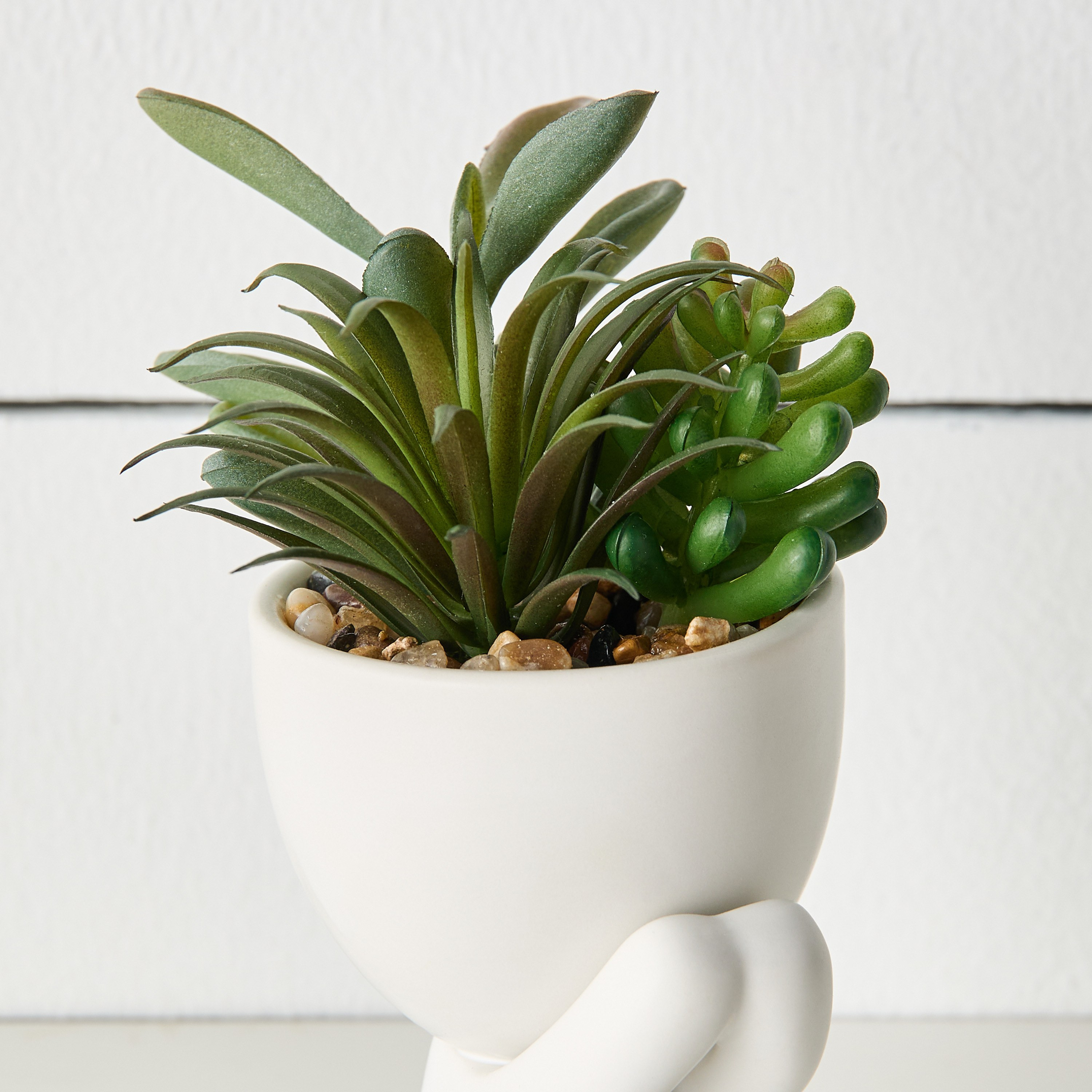 Perch Mini Succulent Plant in Ceramic Pot - 15 cm-household-gardenandoutdoor-artificialplants-succulents-image-2