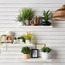 نبات عصاري روزماري صغير في وعاء سيراميك - بيرش - 17 سم-household-gardenandoutdoor-artificialplants-succulents-image-1