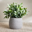 Terra Bay Leaf Shrub in Cement Pot - 23 cm-household-gardenandoutdoor-artificialplants-pottedplants-image-1