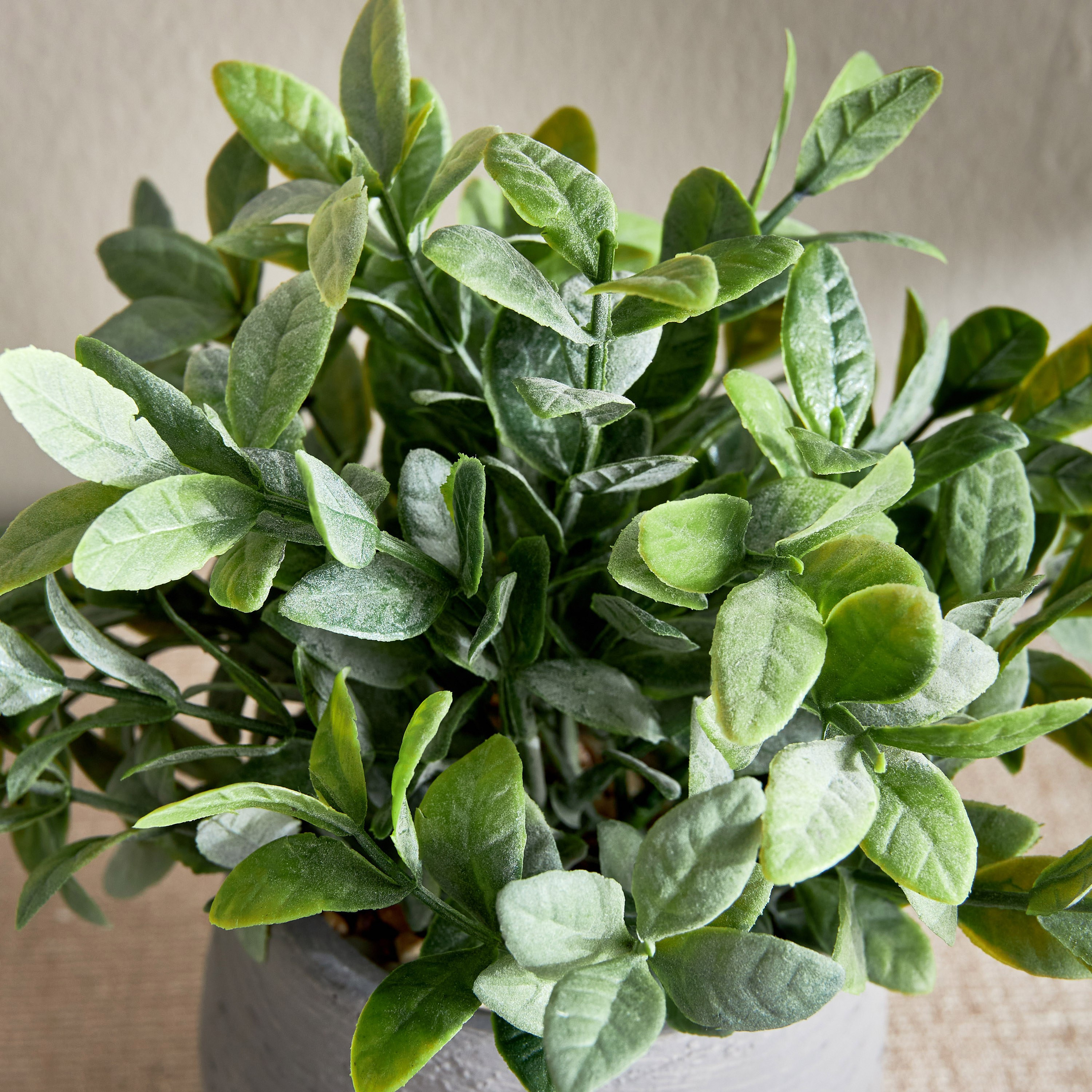 Terra Bay Leaf Shrub in Cement Pot - 23 cm-household-gardenandoutdoor-artificialplants-pottedplants-image-2