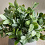 Terra Bay Leaf Shrub in Cement Pot - 23 cm-household-gardenandoutdoor-artificialplants-pottedplants-image-2
