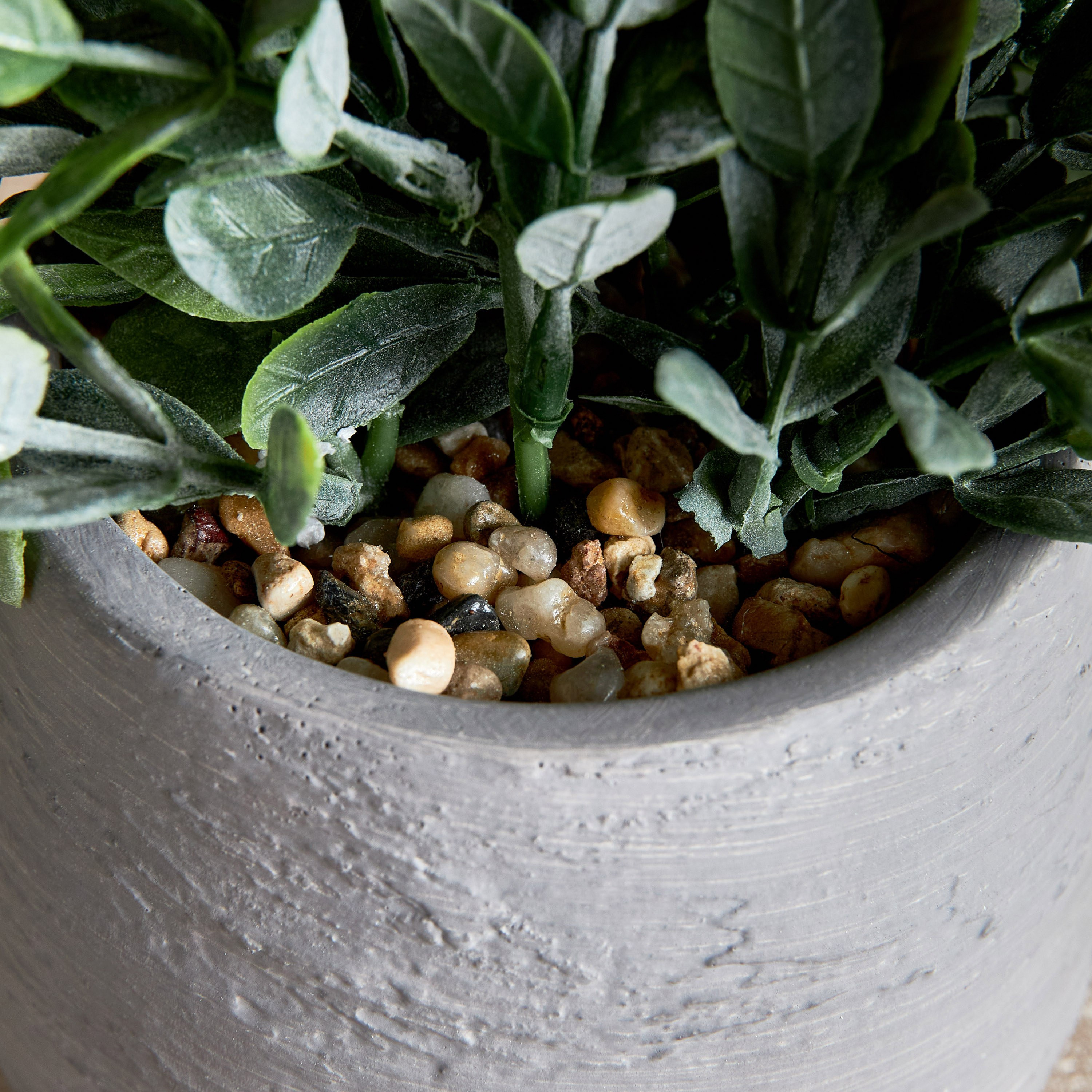 Terra Bay Leaf Shrub in Cement Pot - 23 cm-household-gardenandoutdoor-artificialplants-pottedplants-image-3