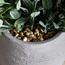 Terra Bay Leaf Shrub in Cement Pot - 23 cm-household-gardenandoutdoor-artificialplants-pottedplants-image-3