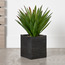 Dahl Pandan Palm Plant in Pot - 66 cm-household-gardenandoutdoor-artificialplants-pottedplants-image-1