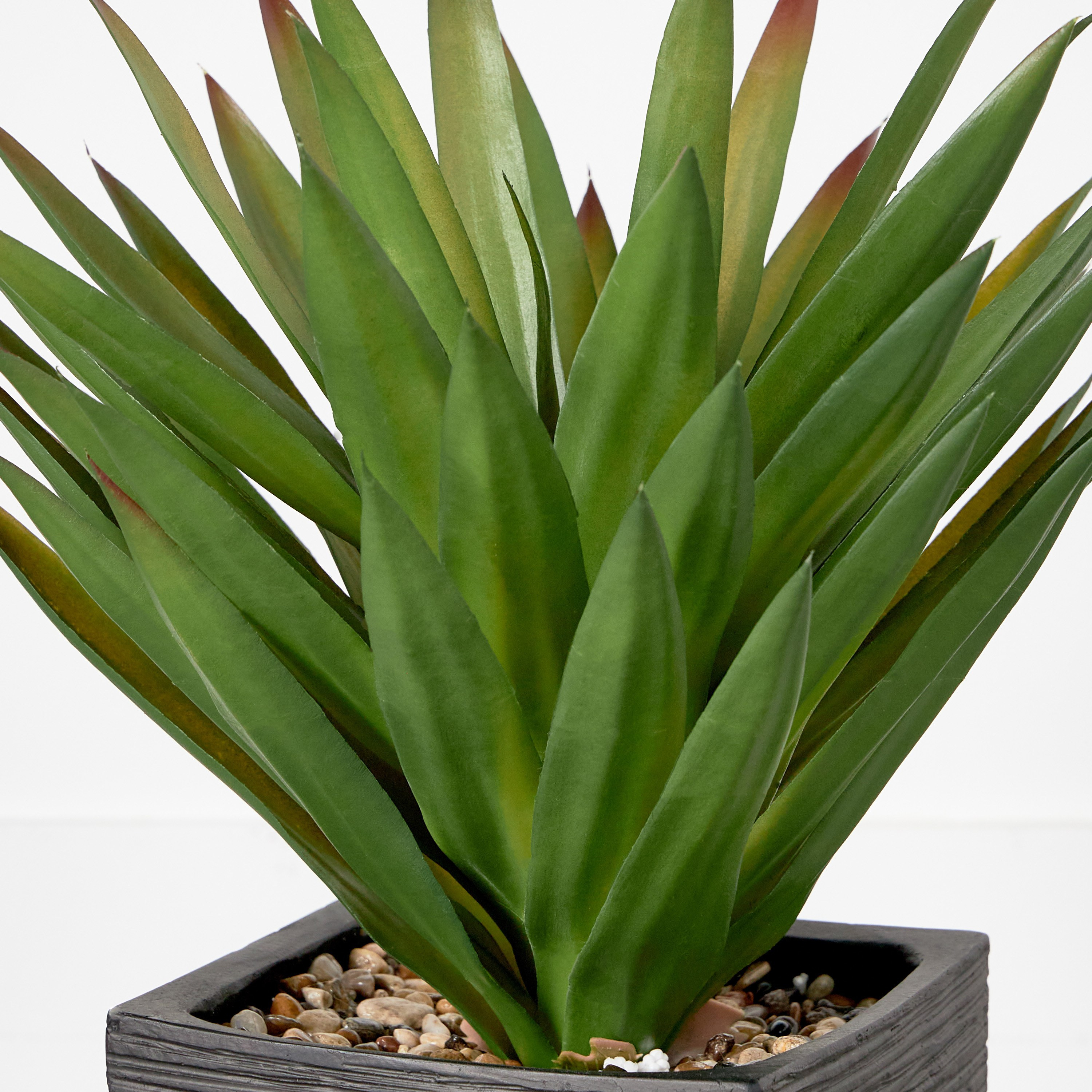Dahl Pandan Palm Plant in Pot - 66 cm-household-gardenandoutdoor-artificialplants-pottedplants-image-2
