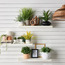 Roald Pandan Palm Plant in Ceramic Pot - 35 cm-household-gardenandoutdoor-artificialplants-pottedplants-image-3