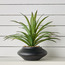 Roald Pandan Palm Plant in Ceramic Pot - 35 cm-household-gardenandoutdoor-artificialplants-pottedplants-image-1
