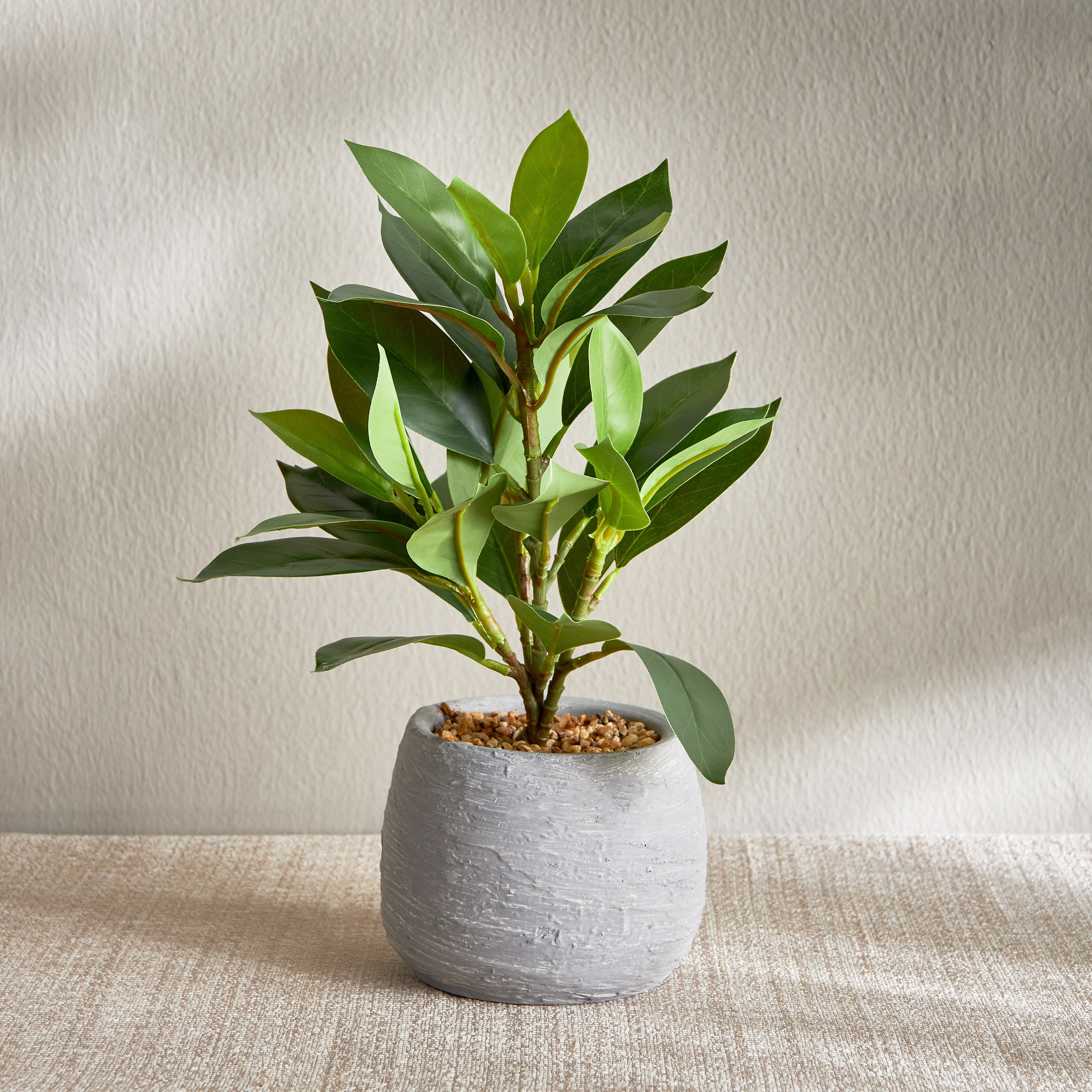Terra Ficus Plant in Pot - 30 cm-household-gardenandoutdoor-artificialplants-pottedplants-image-1
