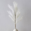 باقة أعواد- 130 سم-household-gardenandoutdoor-artificialflowersandplants-fillers-image-3