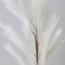 باقة أعواد- 130 سم-household-gardenandoutdoor-artificialflowersandplants-fillers-image-2