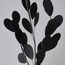 Thalia Dealbata Leaves Stem - 110 cm-household-gardenandoutdoor-artificialflowersandplants-fillers-image-2