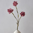 Tulip Stem Flower - 100 cm-household-gardenandoutdoor-artificialflowersandplants-stems-image-1
