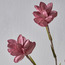 Tulip Stem Flower - 100 cm-household-gardenandoutdoor-artificialflowersandplants-stems-image-2