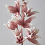 غصن زهرة الليلي - 120 سم-household-gardenandoutdoor-artificialflowersandplants-stems-image-2