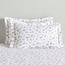 Dreamz Dino Cotton 200 Thread Count 2-Piece Pillowcase Set - 50x75 cm-babyandkids-beddingandwindows-bedding-pillowcases-image-1
