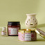 Classic Peony Blush Fragrance Oil Burner Set - 5 ml-InfluencerCodes_Ramadan26_All_20012026-image-4