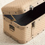Zale Storage Trunk - 26cm-household-storage-storagesolutions-trunks-image-3