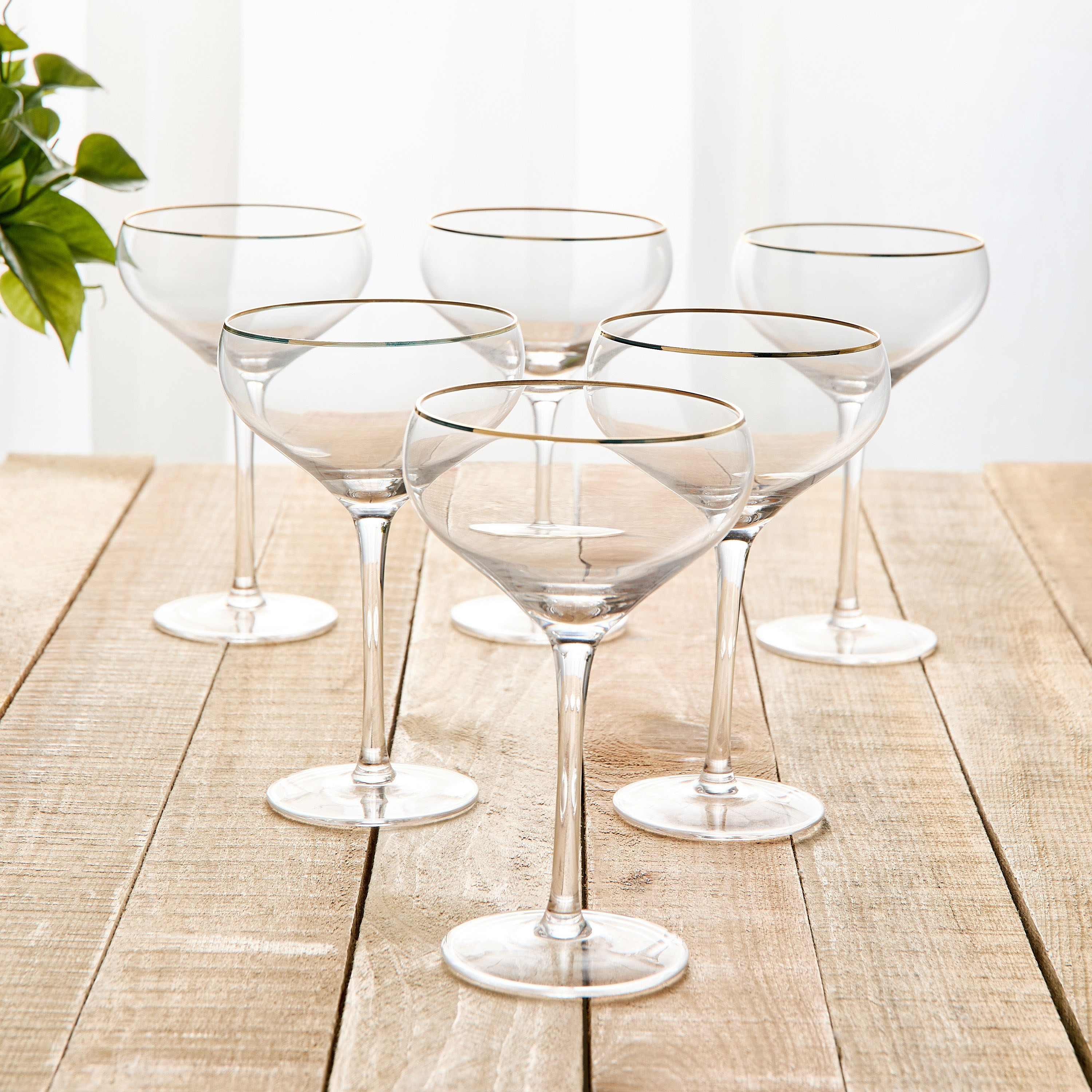 Jamila 6-Piece Coupe Glass Set - 345 ml-household-dining-glassware-stemware-image-1