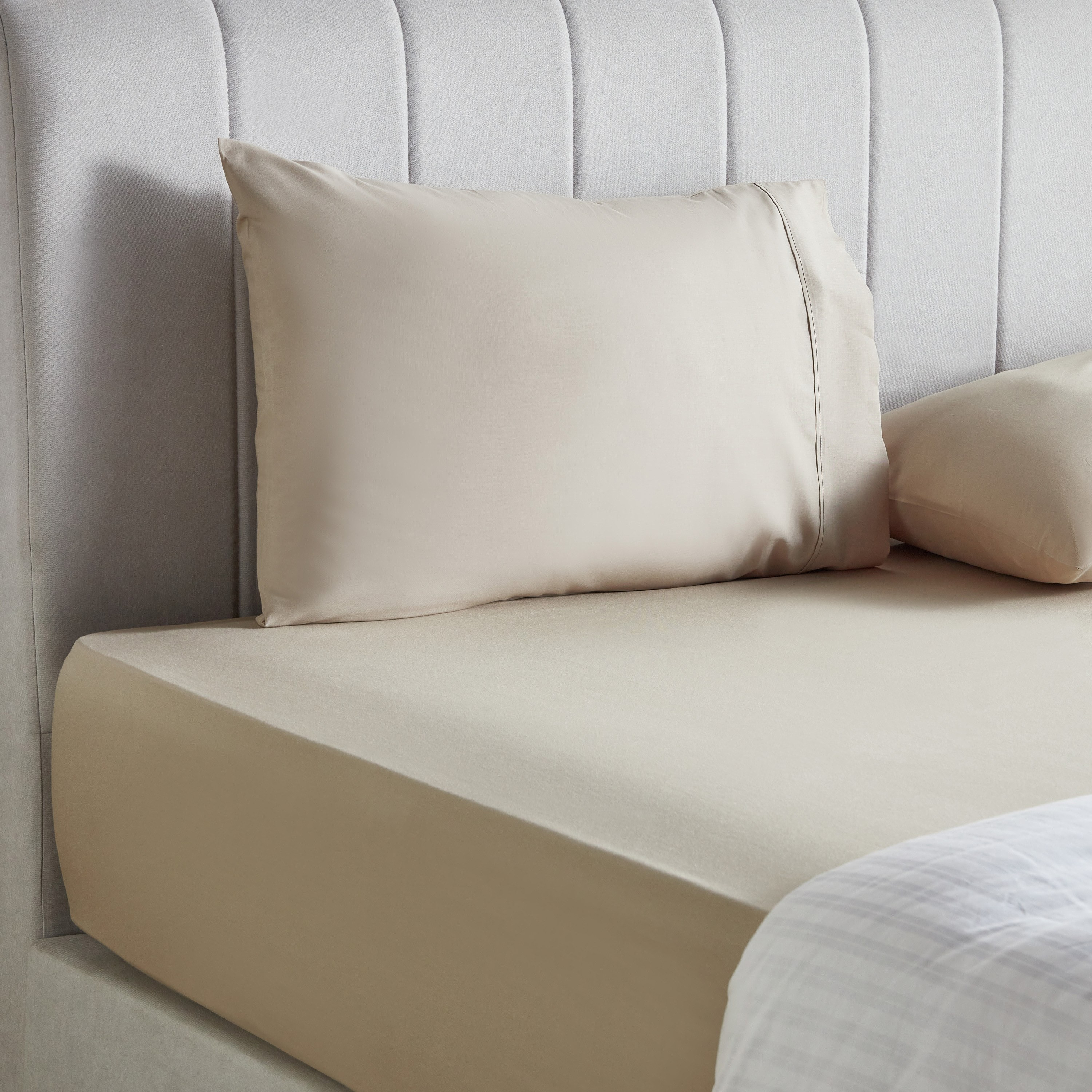 Essence Cotton Percale 144 Thread Count King Fitted Sheet - 180x205 cm-household-bedding-sheetsandpillowcases-fittedsheets-image-3