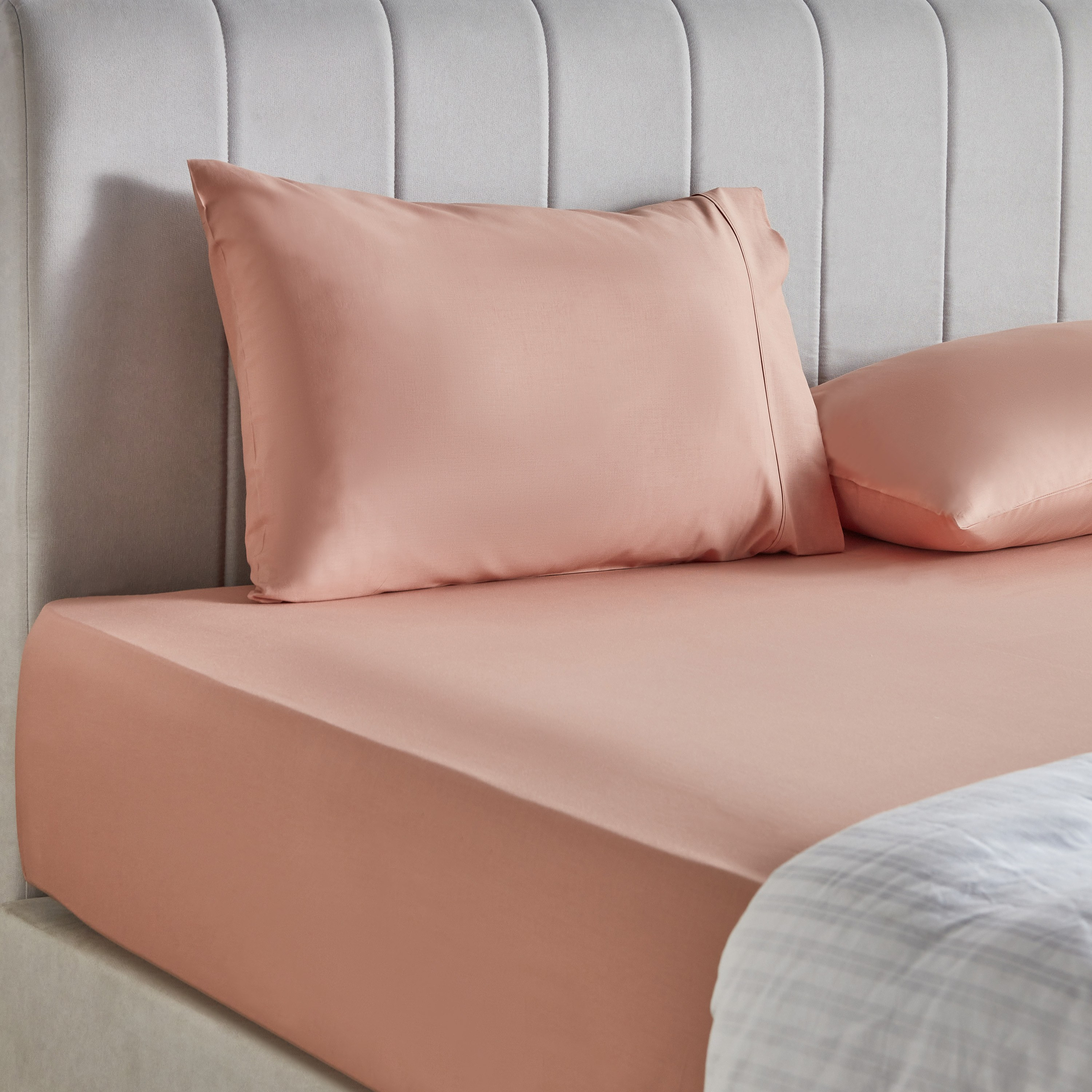 Essence Cotton Percale 144 Thread Count King Fitted Sheet - 180x205 cm-household-bedding-sheetsandpillowcases-fittedsheets-image-3
