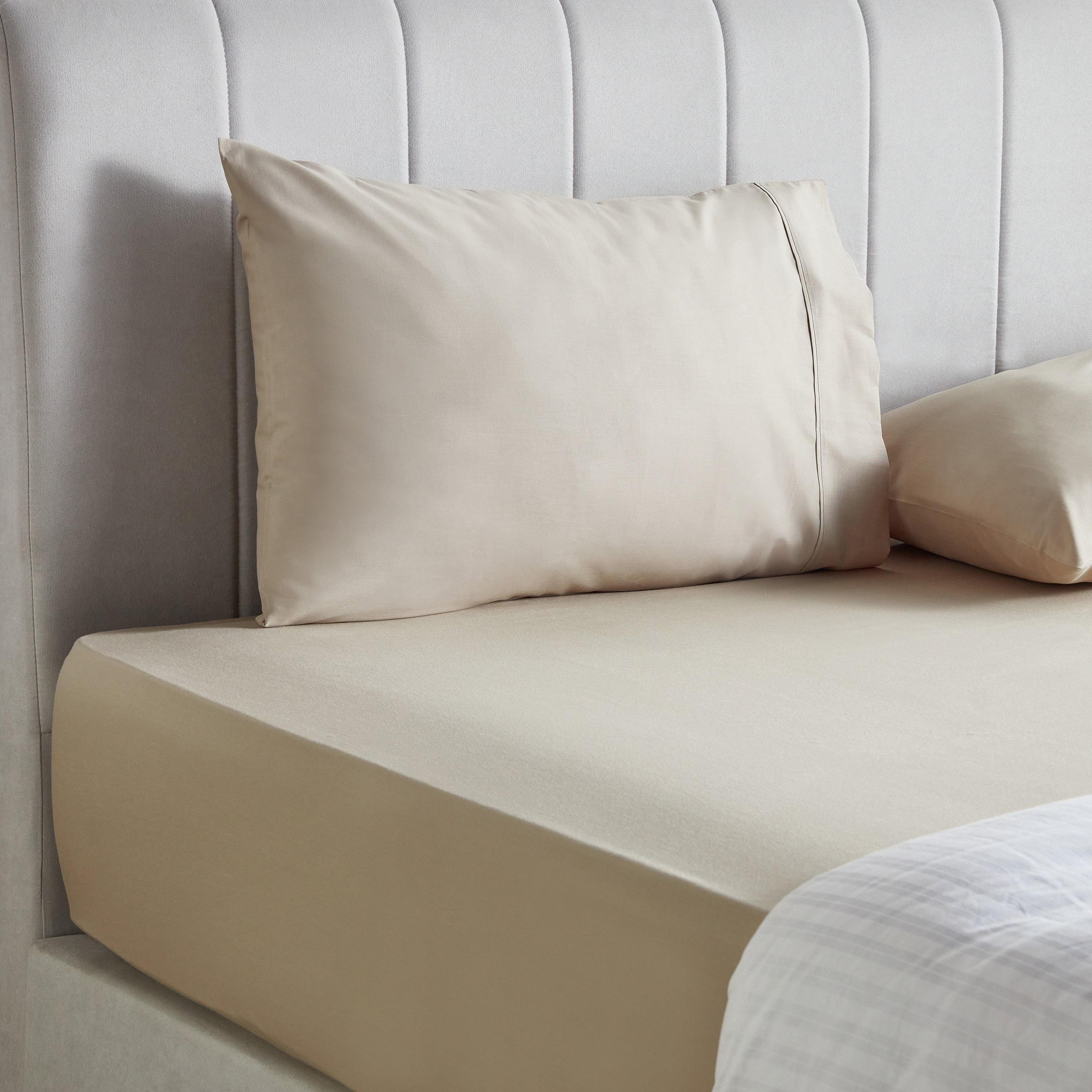 Essence Cotton Percale 144 Thread Count Queen Fitted Sheet - 160x200 cm-household-bedding-sheetsandpillowcases-fittedsheets-image-3