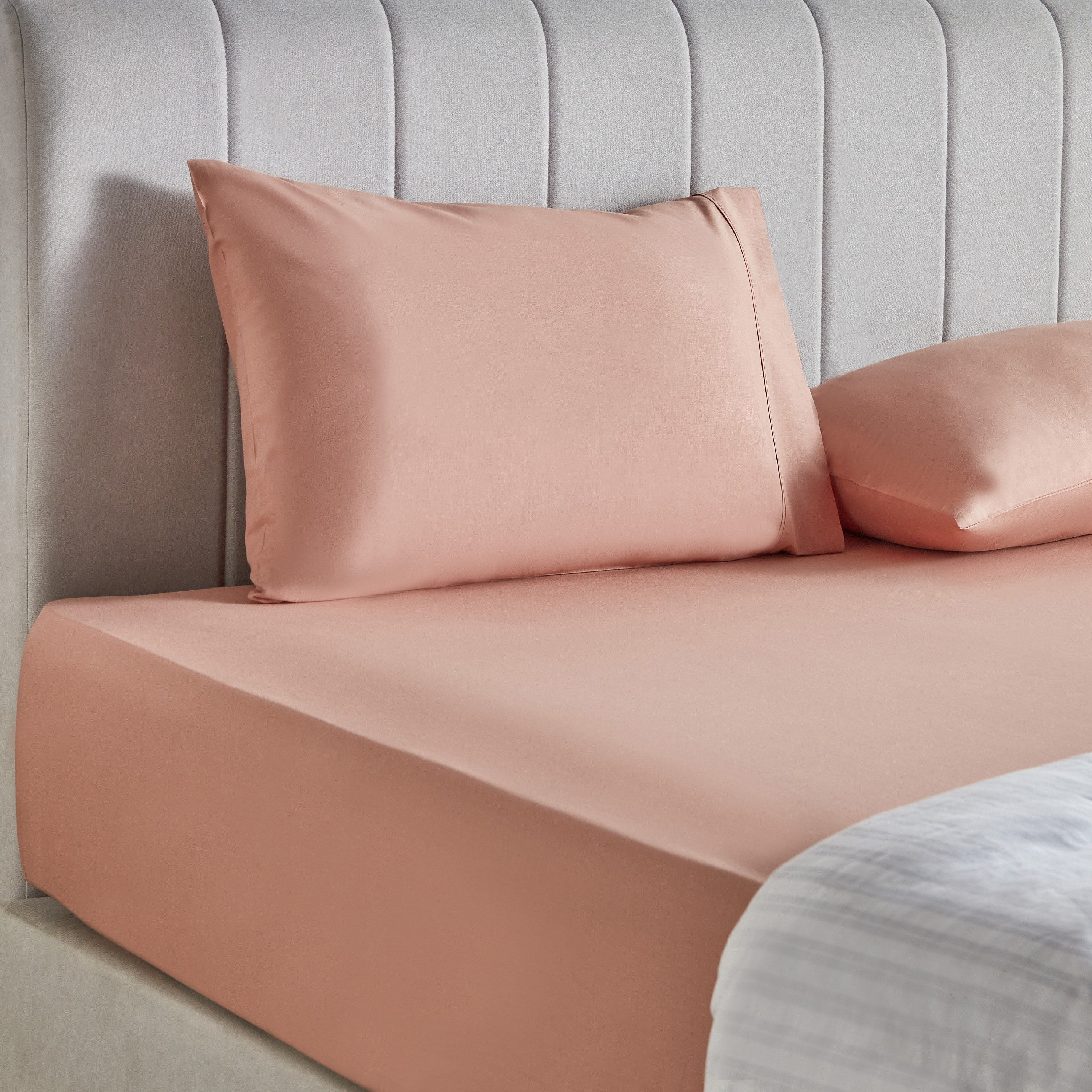 Essence Cotton Percale 144 Thread Count Single Fitted Sheet - 90x200 cm-household-bedding-sheetsandpillowcases-fittedsheets-image-3
