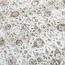Meredith Rug - 200x290 cm-household-rugsandcarpets-rugs-image-9