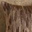 Desert Elegance Marsha Beaded Filled Cushion - 50x50 cm-household-cushionsandthrows-filledcushions-decorativecushions-image-2