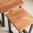 Rainer Solid Wood Nesting Tables - Set of 2-PROMO_HC_SA_TESTBINPROMO_080926-image-4