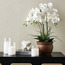 Illuminar LED Glass Candle-household-homefragrance-candles-image-5