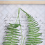 Jendayi Framed Canvas Wall Art - 30x40 cm-household-walldecorandmirrors-wallart-image-3