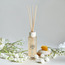 موزع عطور كريم جاسمن - رو- 180 مل-household-homefragrance-reeddiffusers-image-4