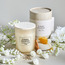 Raw Creme Jasmine Scented Jar Candle - 35 h-household-homefragrance-candles-image-1