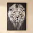 زينة حائط كانفاس مؤطرة - رور- 63x93 سم-household-walldecorandmirrors-wallart-image-5