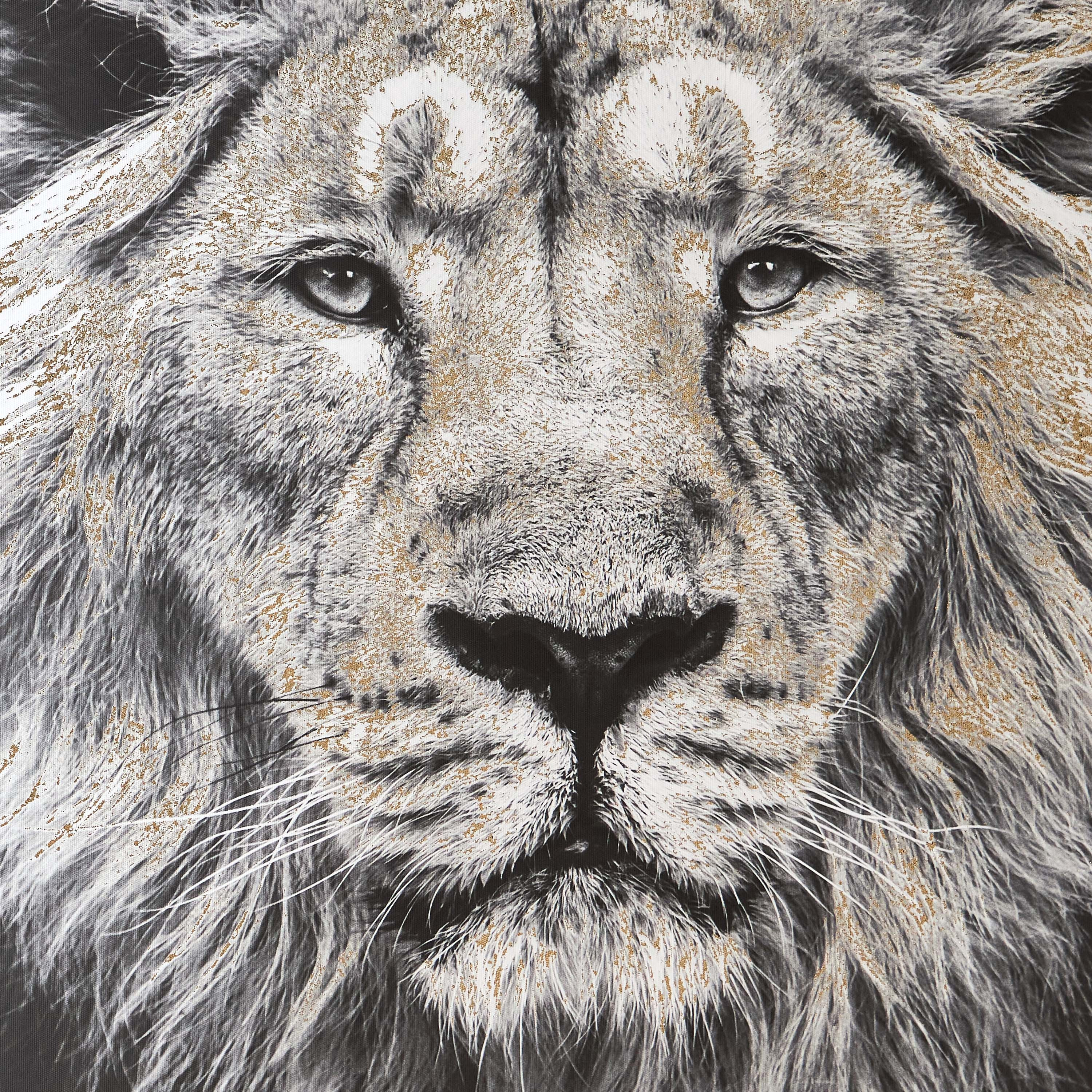 Roar Framed Canvas Wall Art - 63x93 cm-household-walldecorandmirrors-wallart-image-3