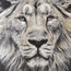 زينة حائط كانفاس مؤطرة - رور- 63x93 سم-household-walldecorandmirrors-wallart-image-3